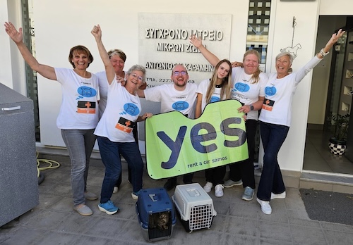 streetcats of samos support by yes rent a car 1